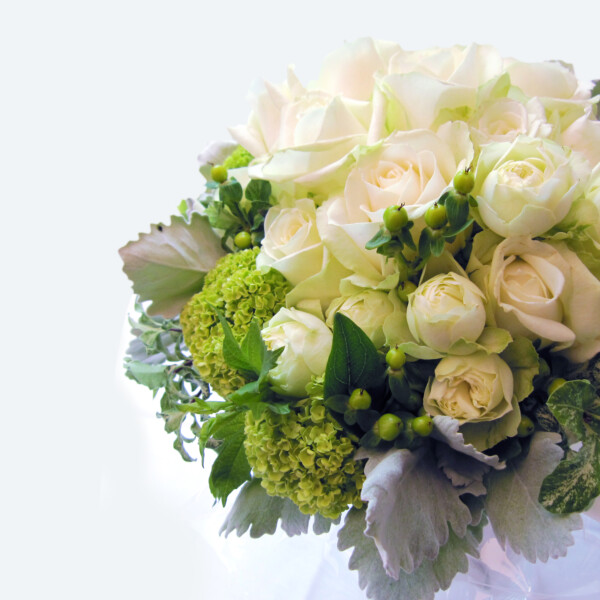 flower-refre