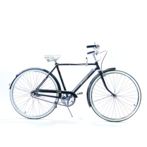 トライアンフ<br />-
TRIUMPH -