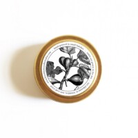 <center>ゴールド トラベル キャンドル<br>(いちじく | Sweet Fig)</center> ゴールド トラベル キャンドル(いちじく | Sweet Fig)